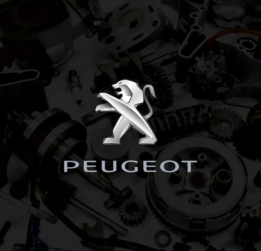 Peugeot Genuine Auto Spare Parts